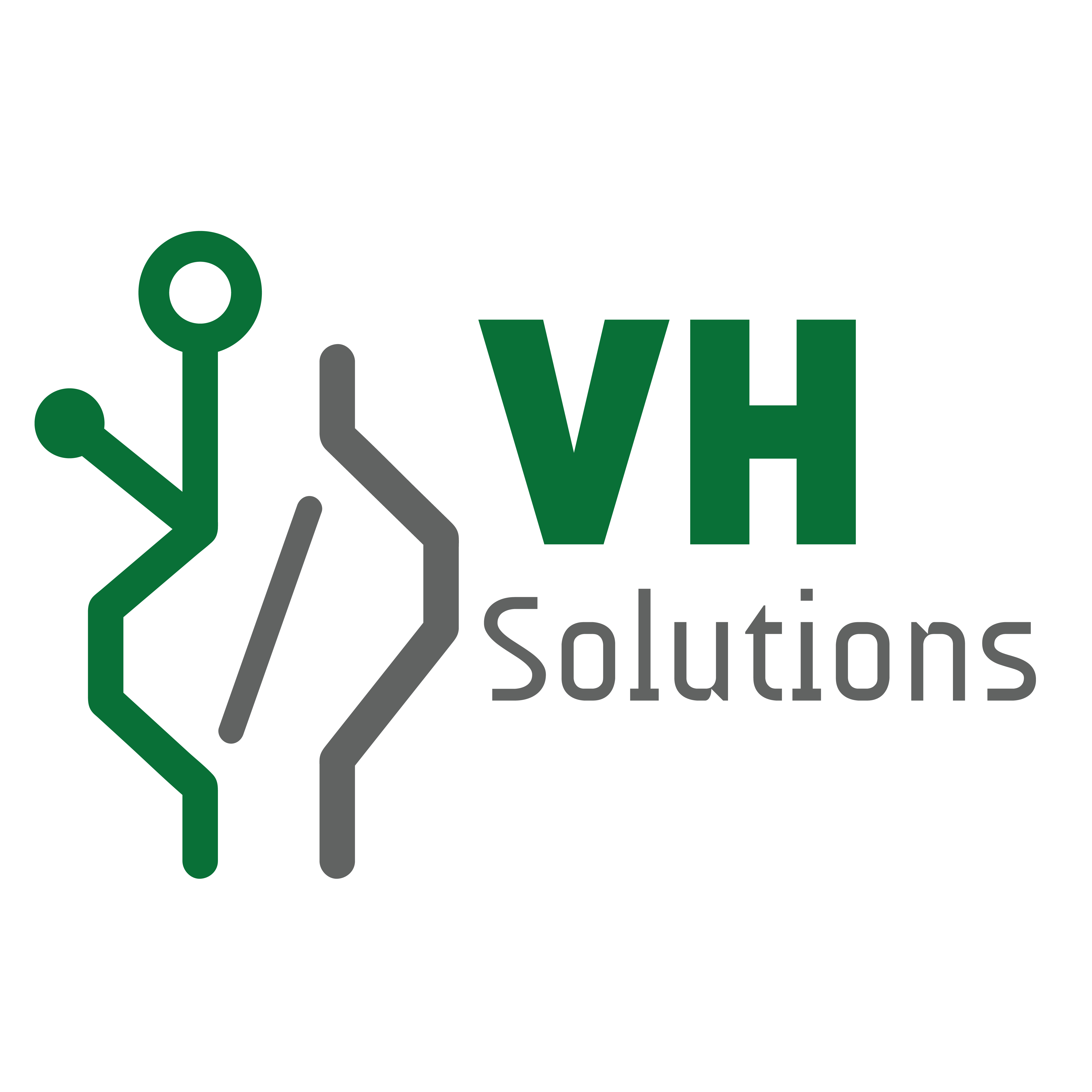 VHSolution